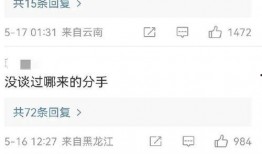 刘大锤最新爆料宋茜视频,精彩瞬间引网友热议